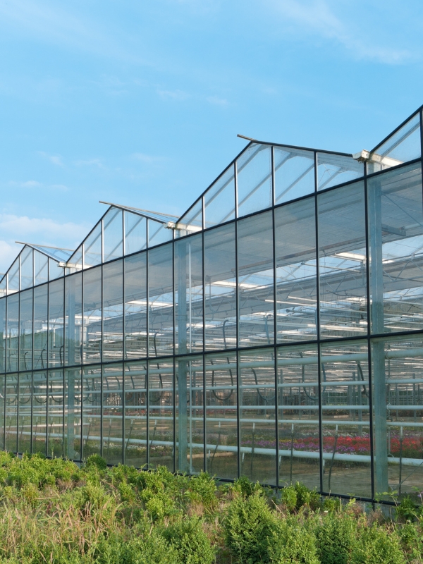 Coperture agricole a Parma